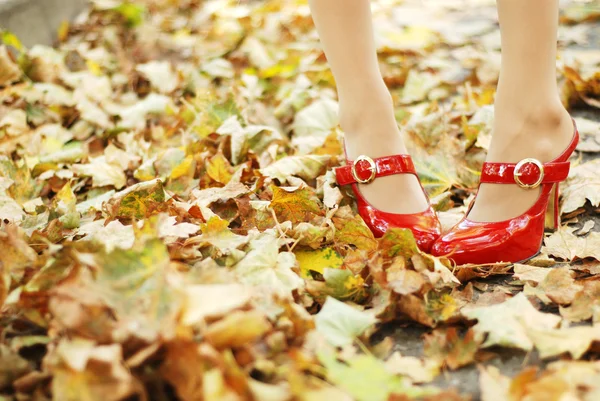 树叶和红鞋 — 图库照片