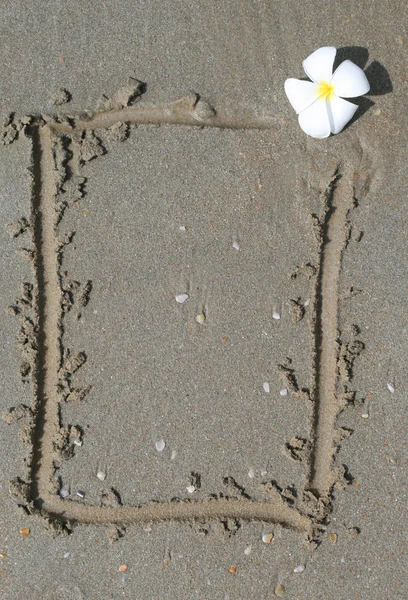 Flor branca na areia — Fotografia de Stock