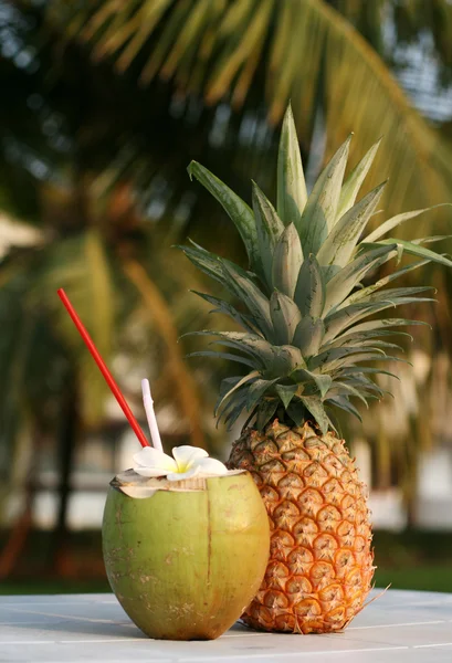 Nucă de cocos și ananas — Fotografie, imagine de stoc