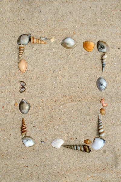 Schelpen op zand frame — Stockfoto