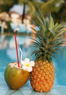 Coconut and pineapple clipart