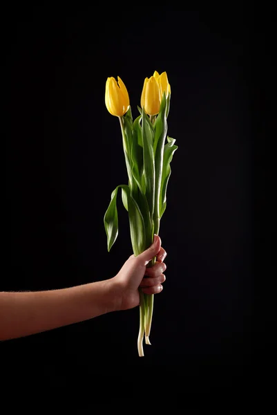 Ruka a tulipány — Stock fotografie