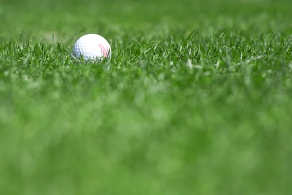Zelené trávy a golfball — Stock fotografie