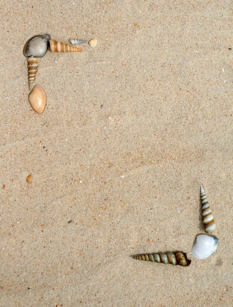 조개 모래 프레임에 — 스톡 사진