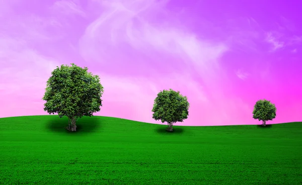 Ağaç ile çayır — Stok fotoğraf