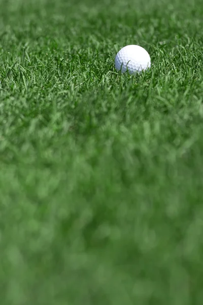 골프 필드 및 golfball — 스톡 사진