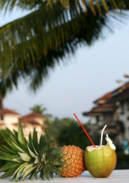 Coco e ananás — Fotografia de Stock