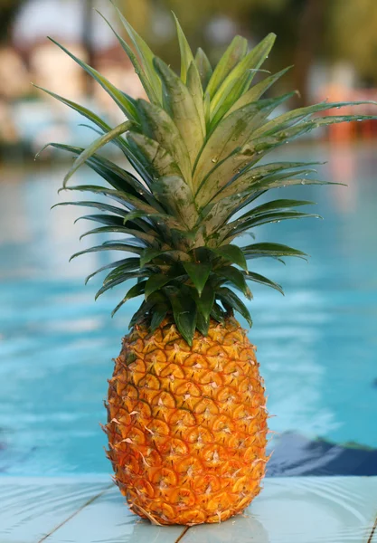 Taze ananas ve Havuzu — Stok fotoğraf