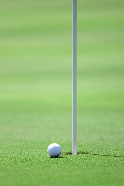 Поле для гольфу та м'яч для гольфу — стокове фото