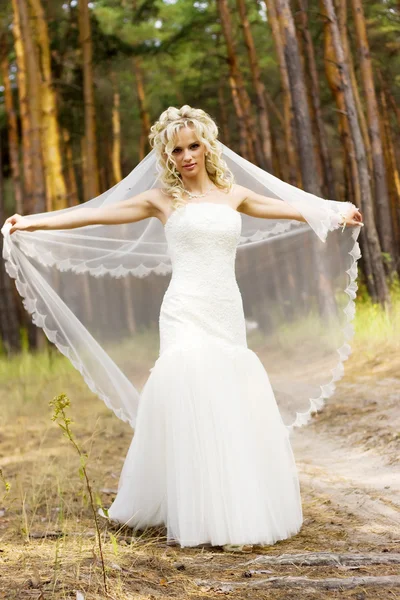 Krása nevěsta — Stock fotografie