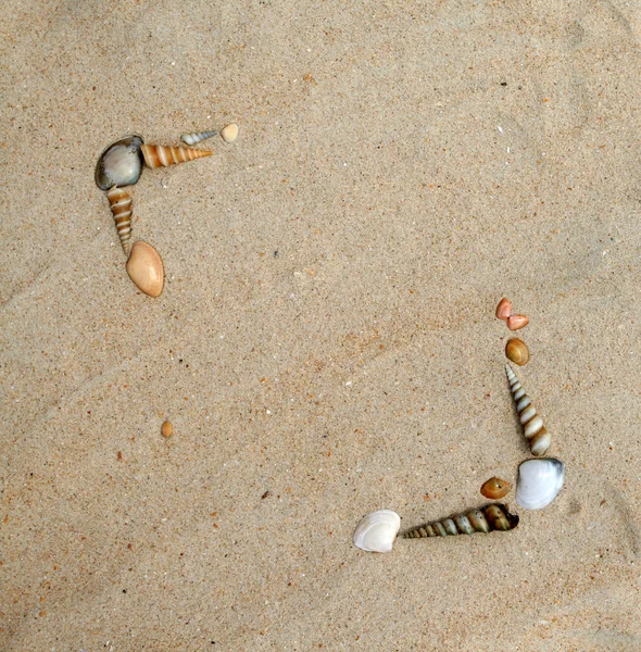 Conchiglie su telaio di sabbia — Foto Stock