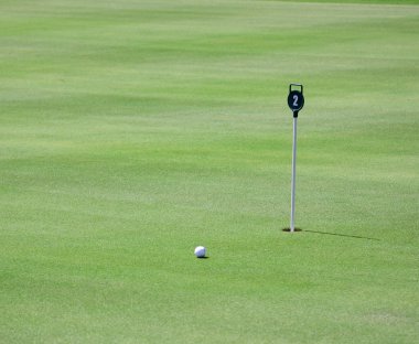 Golf field clipart
