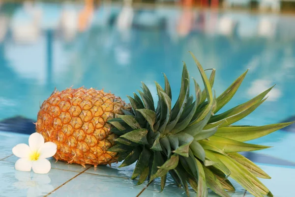 Fresh pineapple and pool — Stock Photo, Image