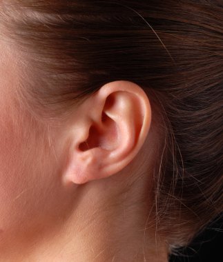 Female ear clipart