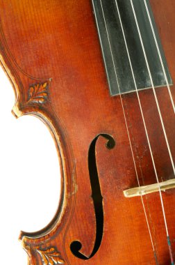 Part of violin on white background clipart