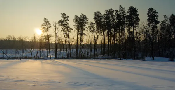 Zachód słońca w zimowym lesie — Zdjęcie stockowe