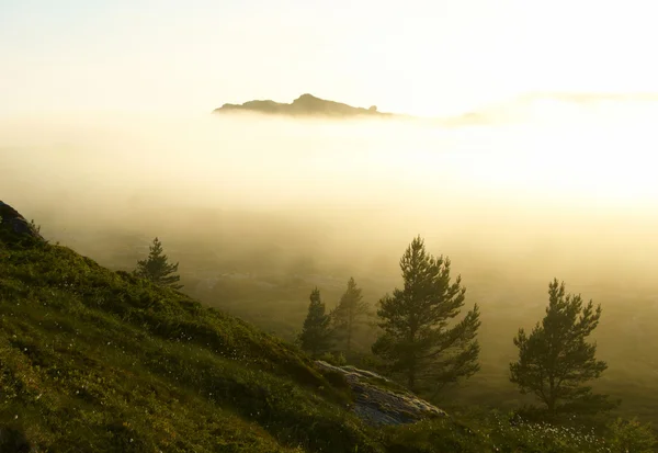 霧の山で susnset — ストック写真
