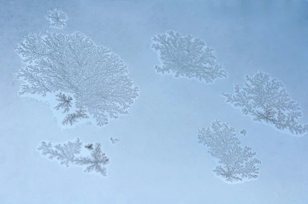 Frosty en vidrio de invierno —  Fotos de Stock