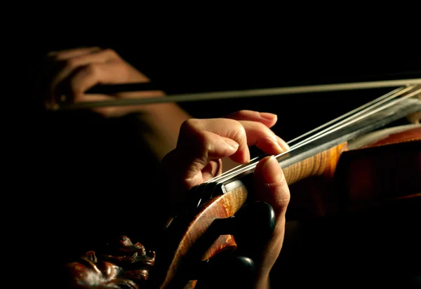 Músico tocando violino isolado em blac — Fotografia de Stock