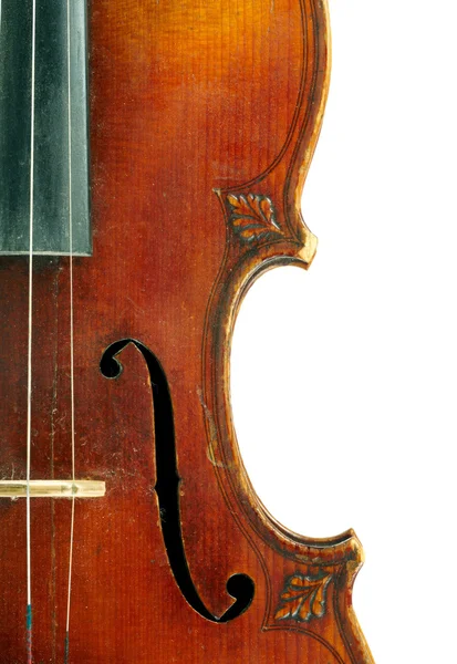 Part of violin on white background — Stock Photo, Image