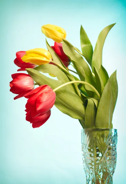 Czerwone i żółte tulipany w wazonie na ba niebieski — Zdjęcie stockowe
