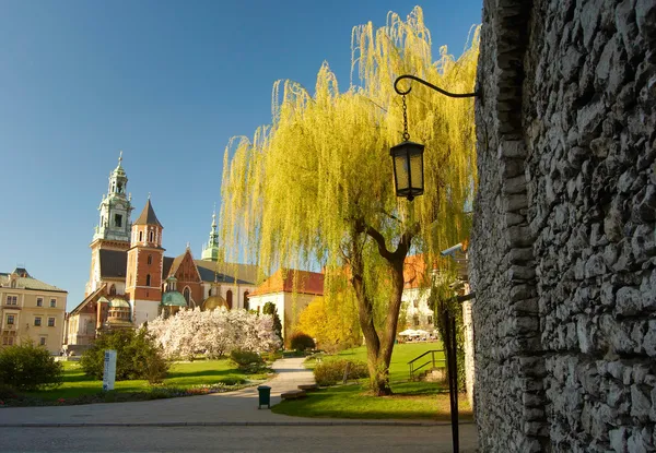 Κάστρο Wawel. Κρακοβία — Φωτογραφία Αρχείου