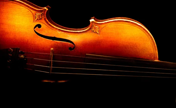 Fragment einer Geige — Stockfoto