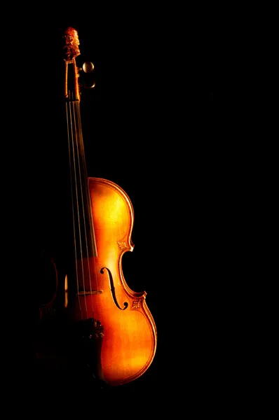 Vintage violin — Stockfoto