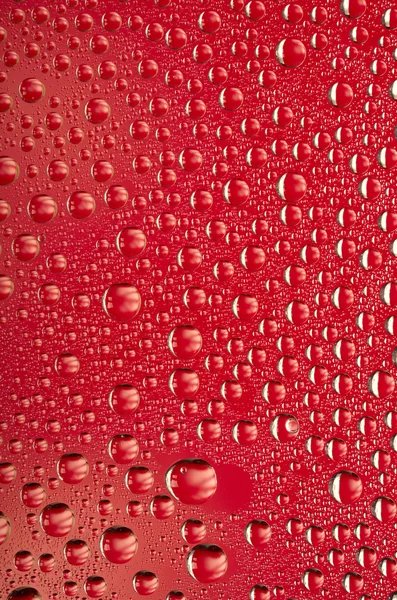 Gocce d'acqua su fondo rosso — Foto Stock