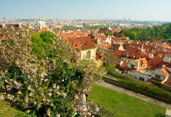 Πανόραμα άνοιξη της Πράγας — Φωτογραφία Αρχείου