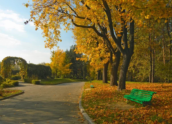 Herbst im Park — Stockfoto