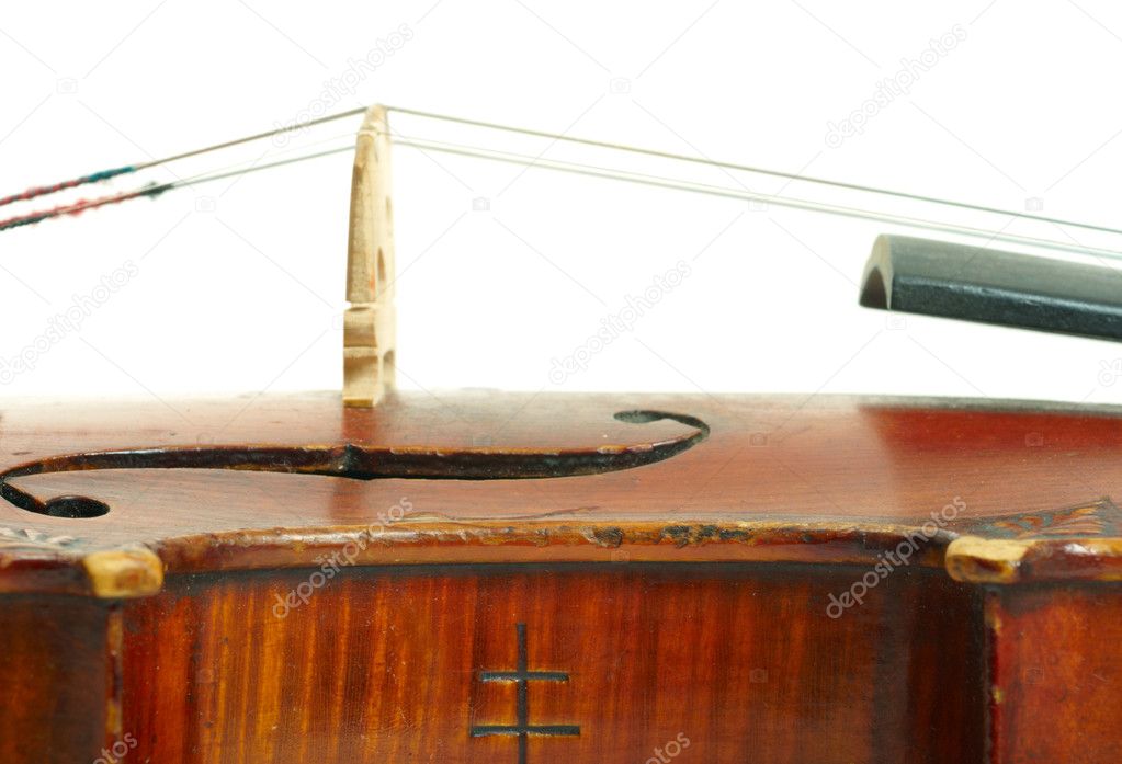 Part of violin on white background
