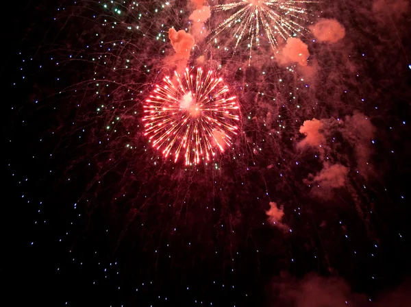 stock image Firework in sky