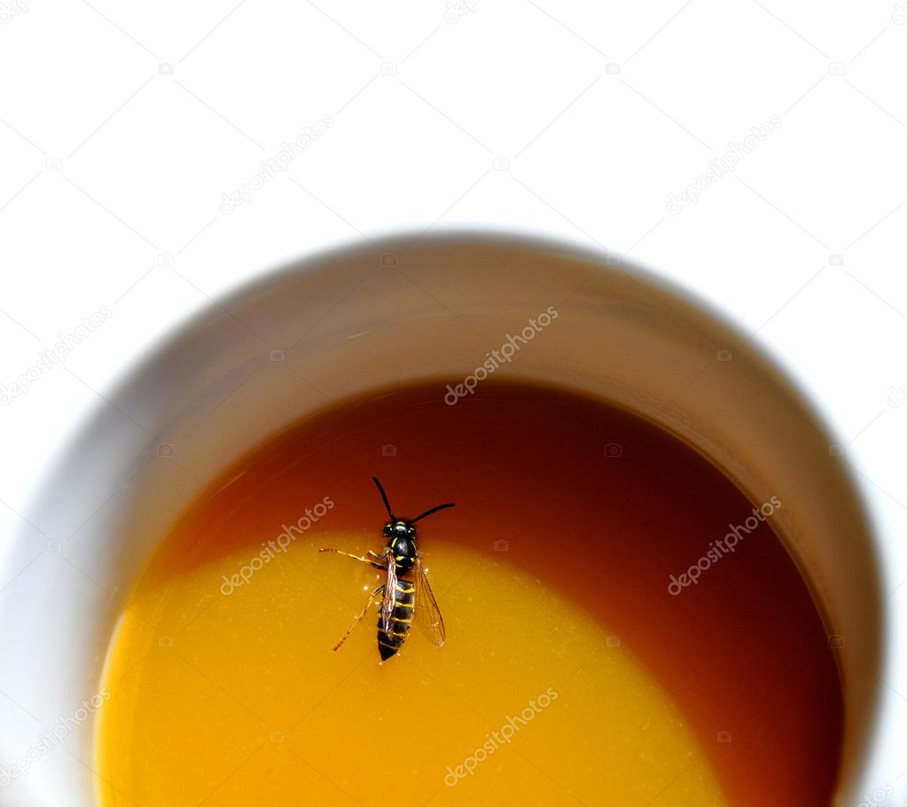 Wasp drowned in mug with juice