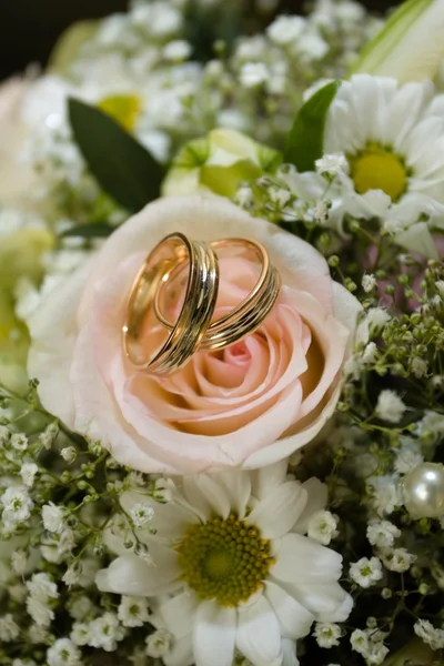 Wedding rings Stock Picture