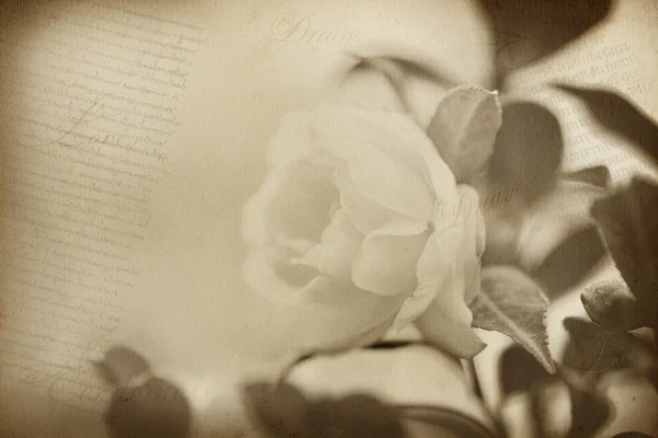 古い花紙テクスチャ背景 ロイヤリティフリーのストック画像