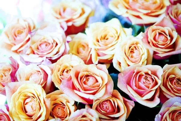 Ein Strauß rosa Rosen — Stockfoto