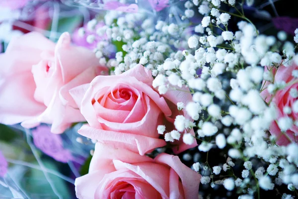 Bunch of pink roses — Stock Photo, Image