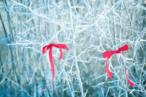 Árvore na neve com fita vermelha — Fotografia de Stock