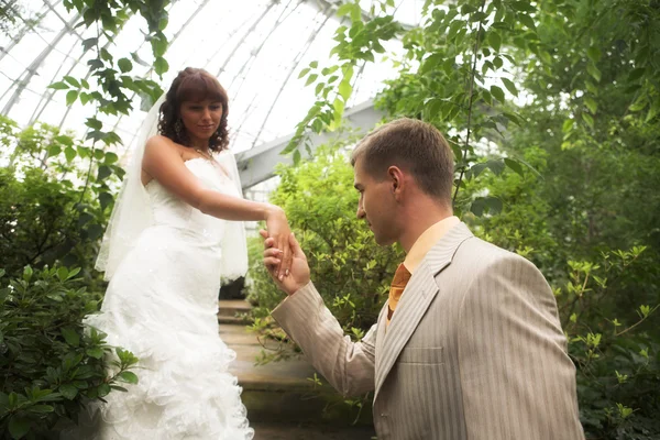 Wedding couple outdoor — Stock Photo, Image