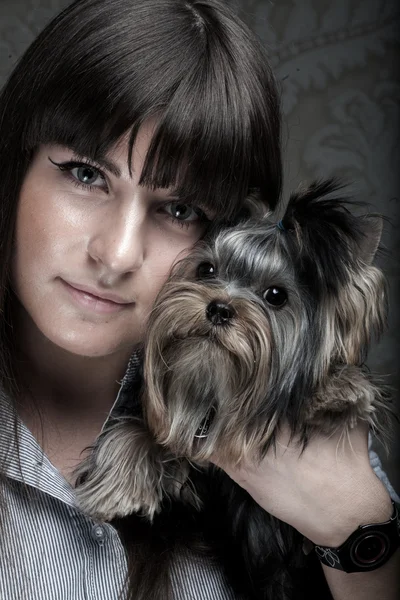 Молодая девушка со своим щенком Йорки — стоковое фото