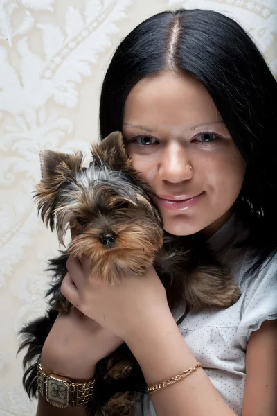 Teriyer köpek ile genç kız — Stok fotoğraf