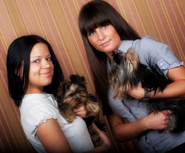 Две девочки с щенками — стоковое фото