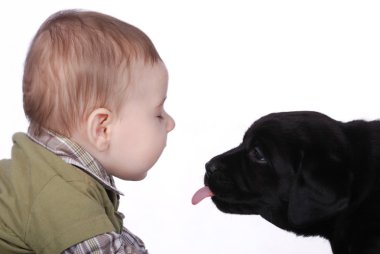 Bebek ve köpek yavrusu