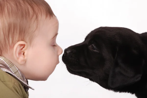 stock image Baby and puppy