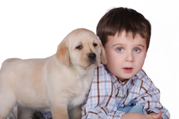 stock image Child and puppy