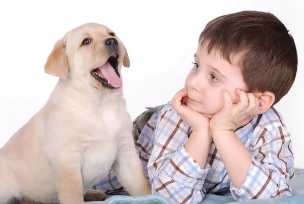 stock image Child and puppy