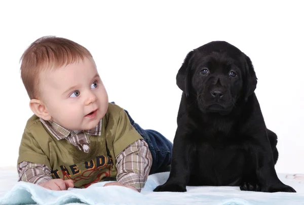婴儿和小狗 免版税图库照片