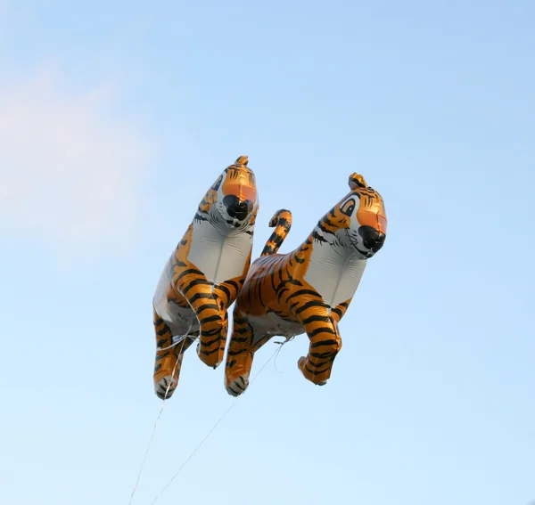 Tigers, balloons — Stock Photo, Image