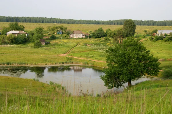 Malé vesnice nedaleko rybníka Stock Snímky